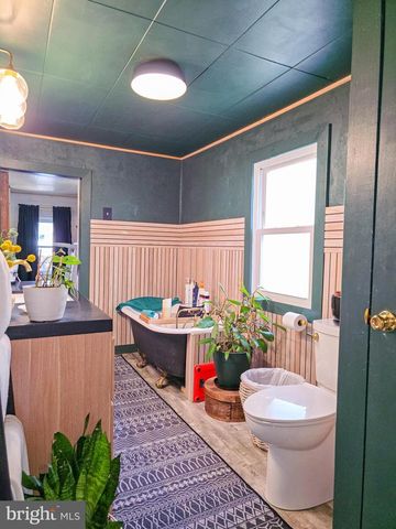 305 PROSPECT AVE, Duncannon, PA 17020