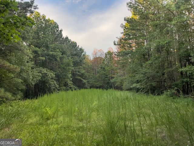 0 Caney Head Road, Roopville, GA 30170