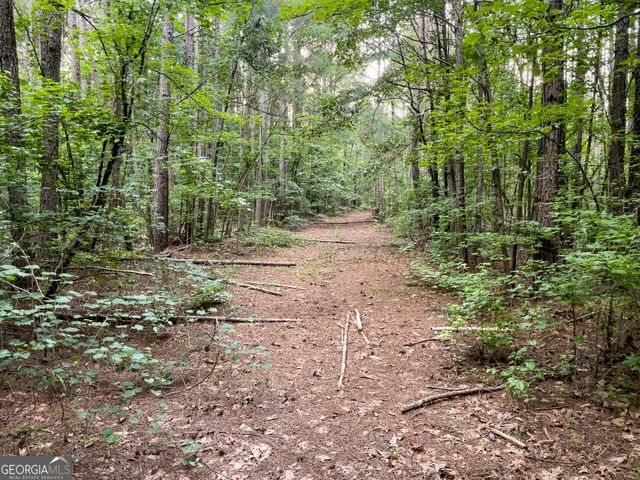 0 Caney Head Road, Roopville, GA 30170