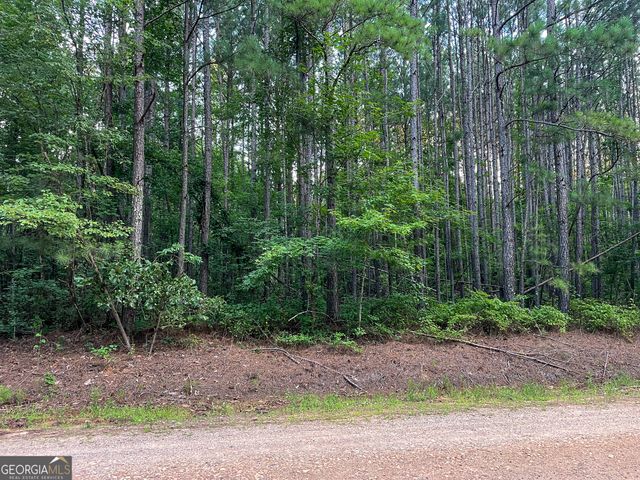0 Caney Head Road, Roopville, GA 30170
