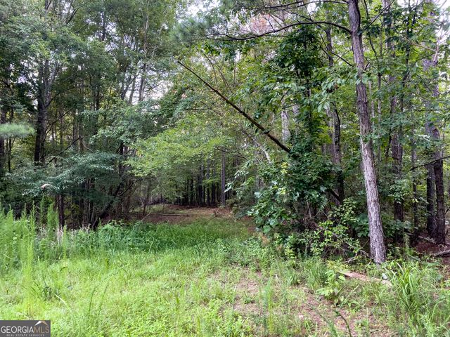 0 Caney Head Road, Roopville, GA 30170