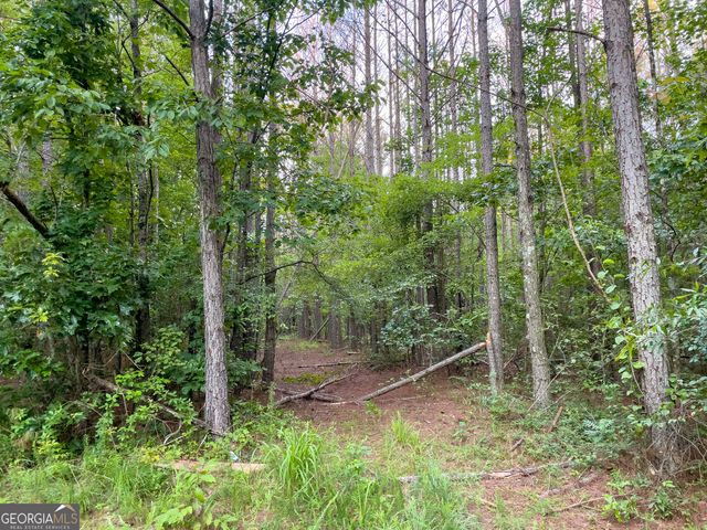 0 Caney Head Road, Roopville, GA 30170