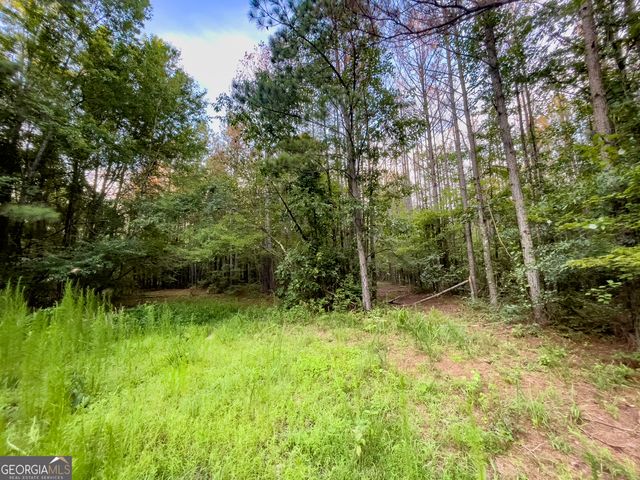 0 Caney Head Road, Roopville, GA 30170