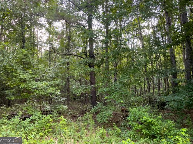 0 Caney Head Road, Roopville, GA 30170