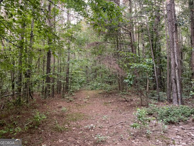 0 Caney Head Road, Roopville, GA 30170