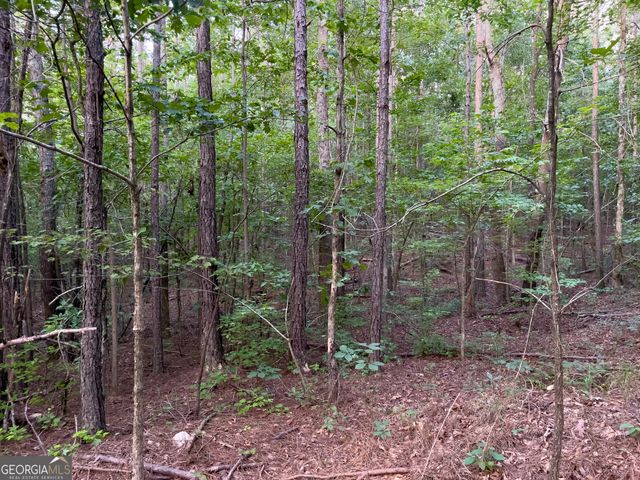 0 Caney Head Road, Roopville, GA 30170