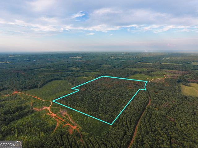 0 Caney Head Road, Roopville, GA 30170
