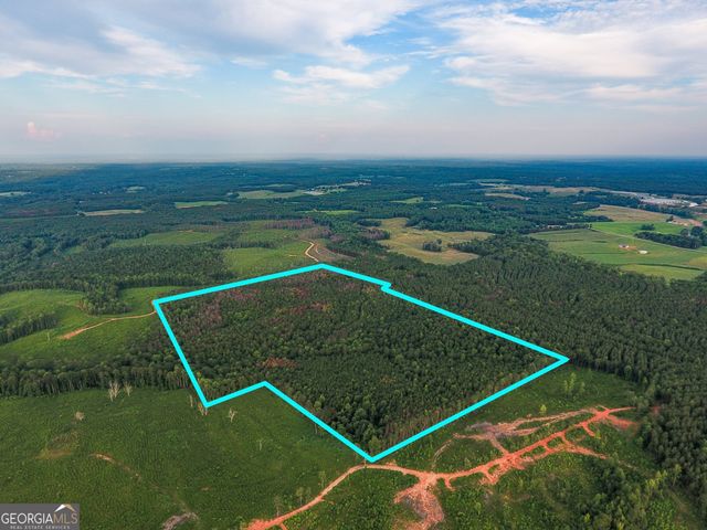 0 Caney Head Road, Roopville, GA 30170