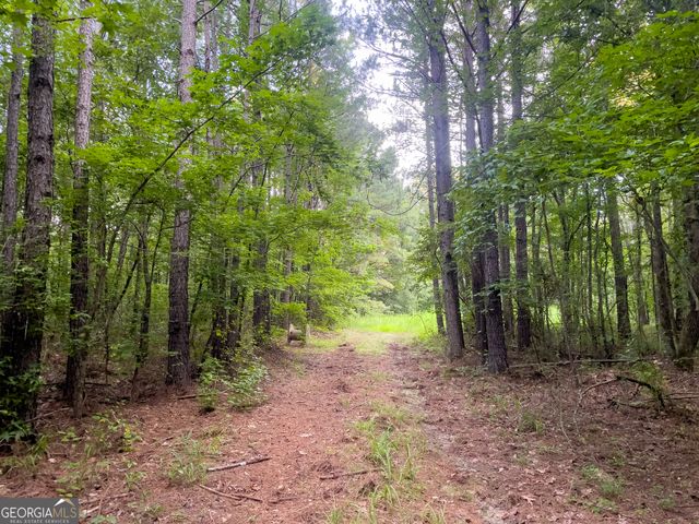 0 Caney Head Road, Roopville, GA 30170