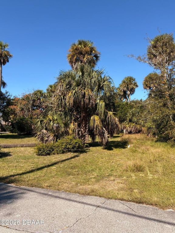 257 Laws Lane, Ormond Beach, FL 32174