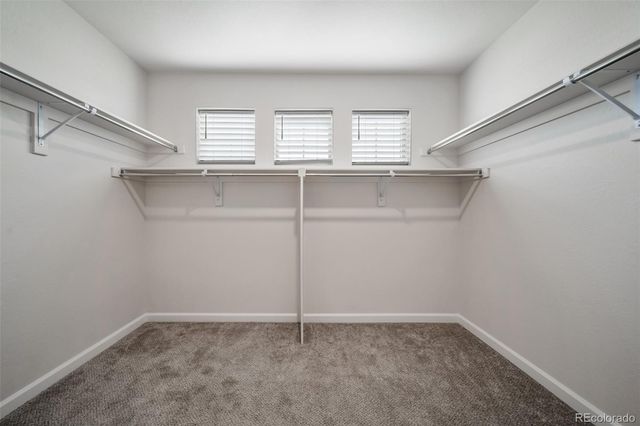 12523 Mcgarrity Avenue, Parker, CO 80134