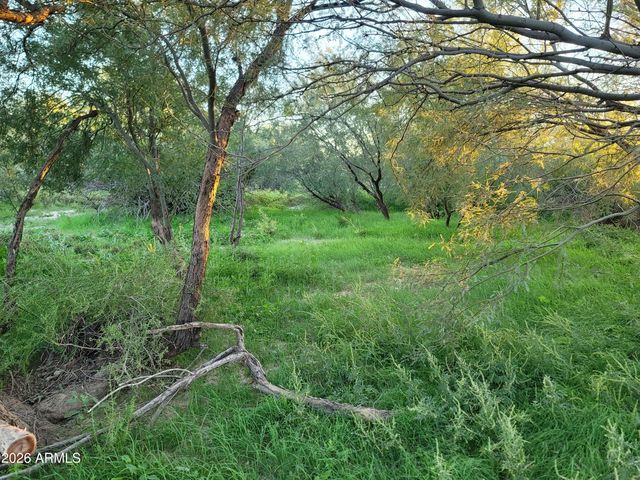 34735 W OLNEY Street, Arlington, AZ 85322
