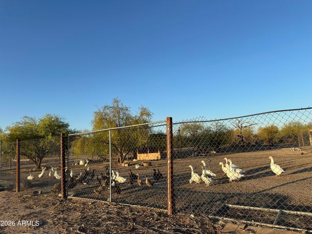 34735 W OLNEY Street, Arlington, AZ 85322
