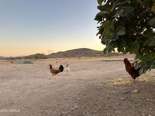 34735 W OLNEY Street, Arlington, AZ 85322