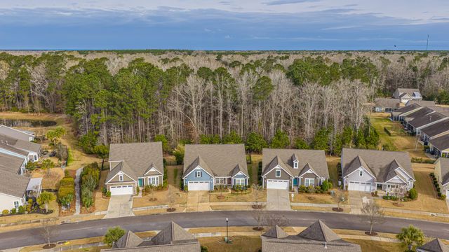 3066 Cross Vine Lane, Summerville, SC 29483
