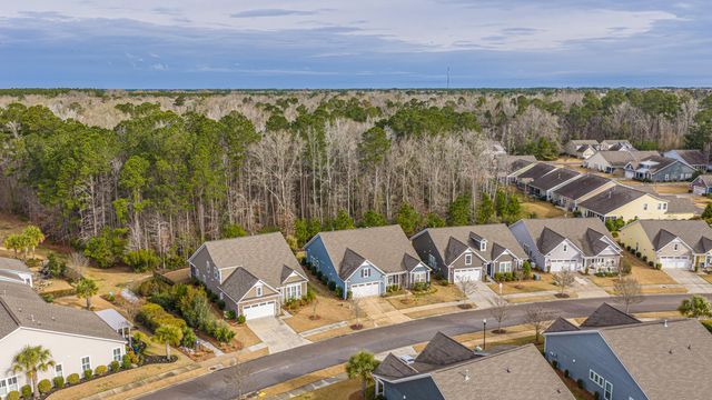 3066 Cross Vine Lane, Summerville, SC 29483