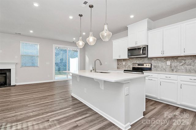 3852 Amalia Place, Fort Mill, SC 29707