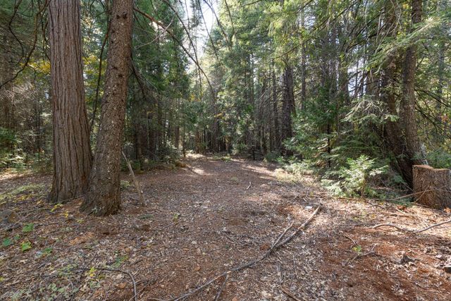 7528 Leaning Cedar Lane, Shingletown, CA 96088