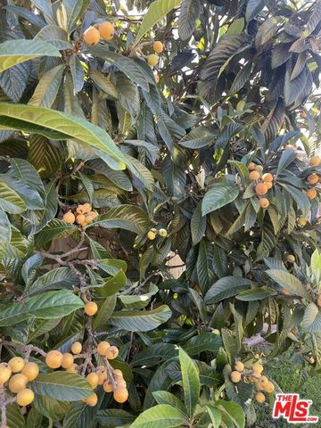 854 Rose Avenue, Venice, CA 90291