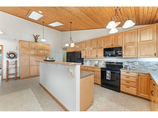 167 Rawah Ct, Livermore, CO 80536