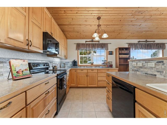 167 Rawah Ct, Livermore, CO 80536