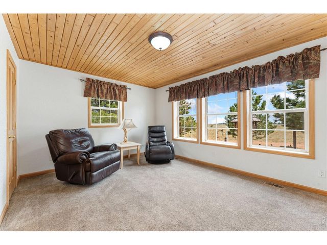 167 Rawah Ct, Livermore, CO 80536