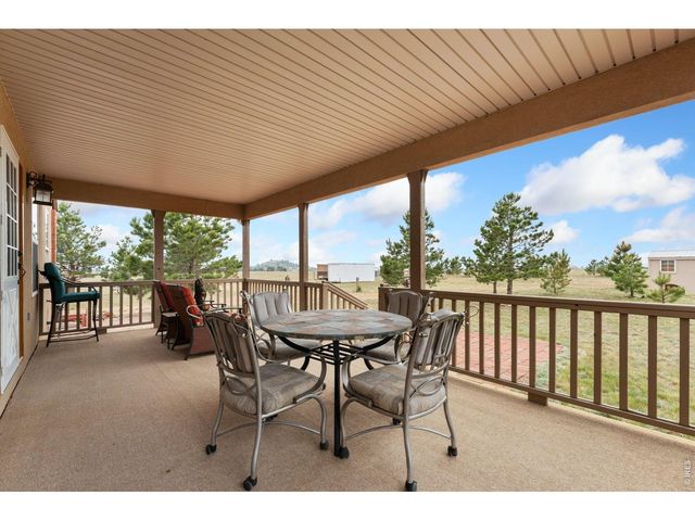 167 Rawah Ct, Livermore, CO 80536