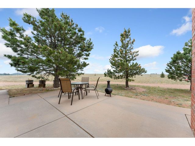167 Rawah Ct, Livermore, CO 80536