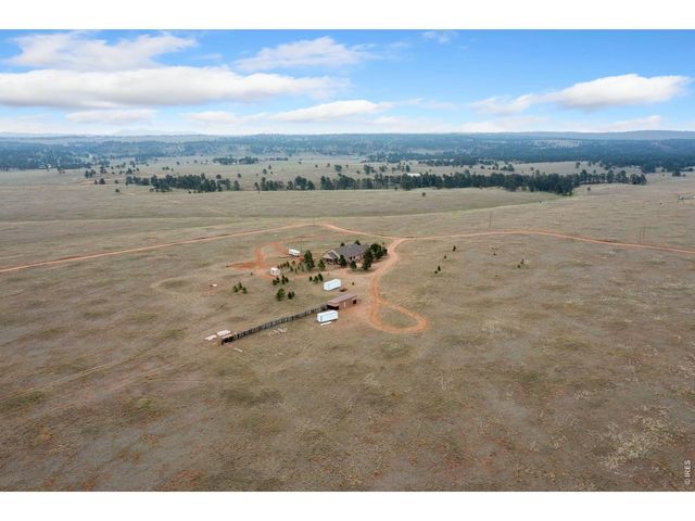 167 Rawah Ct, Livermore, CO 80536