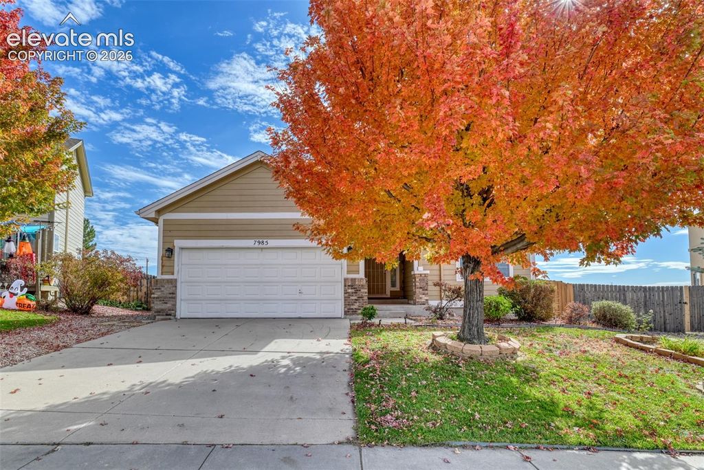 7985 Kettle Drum Street, Colorado Springs, CO 80922 — photo 2