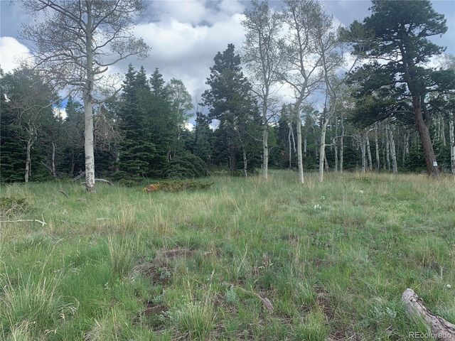 2941 FORBES PARK Road, Fort Garland, CO 81133