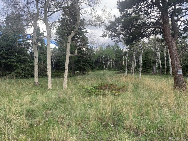 2941 FORBES PARK Road, Fort Garland, CO 81133