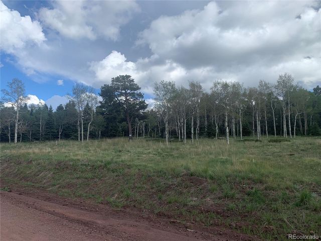 2941 FORBES PARK Road, Fort Garland, CO 81133