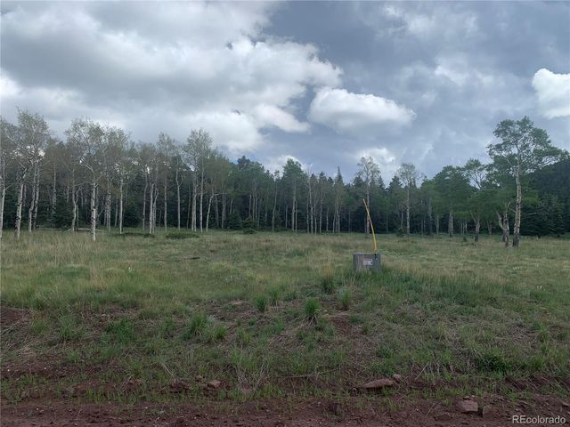 2941 FORBES PARK Road, Fort Garland, CO 81133