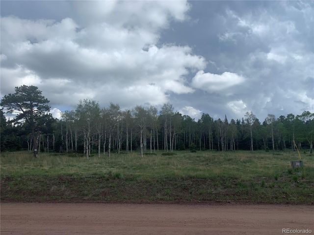 2941 FORBES PARK Road, Fort Garland, CO 81133