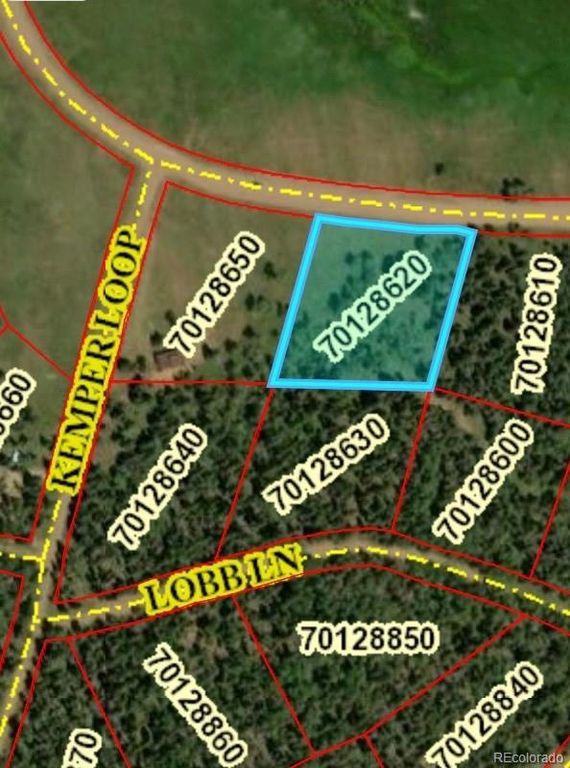 2941 FORBES PARK Road, Fort Garland, CO 81133