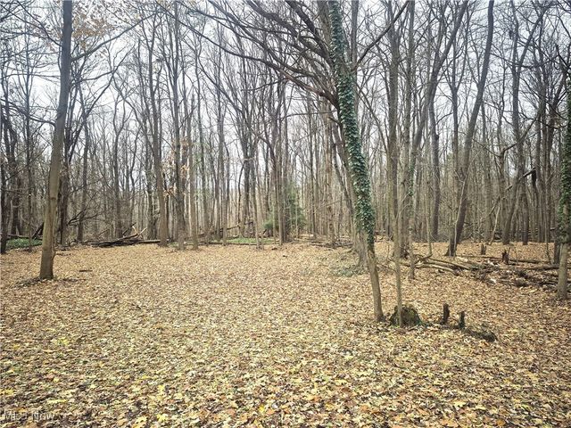 12452 Auburn Road, Chardon, OH 44024