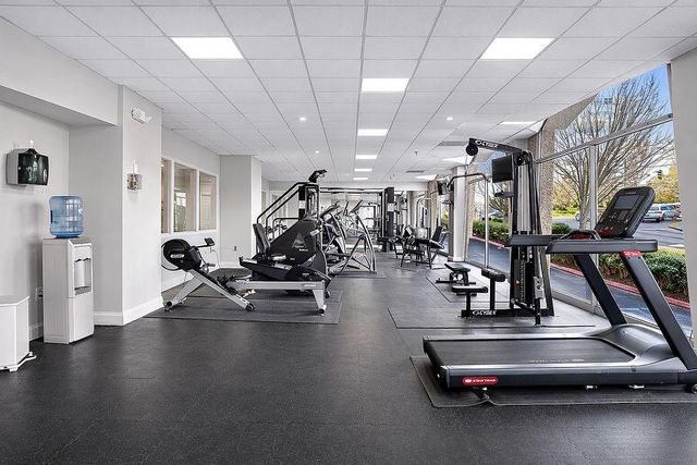 2479 Peachtree Road NE 1517, Atlanta, GA 30305