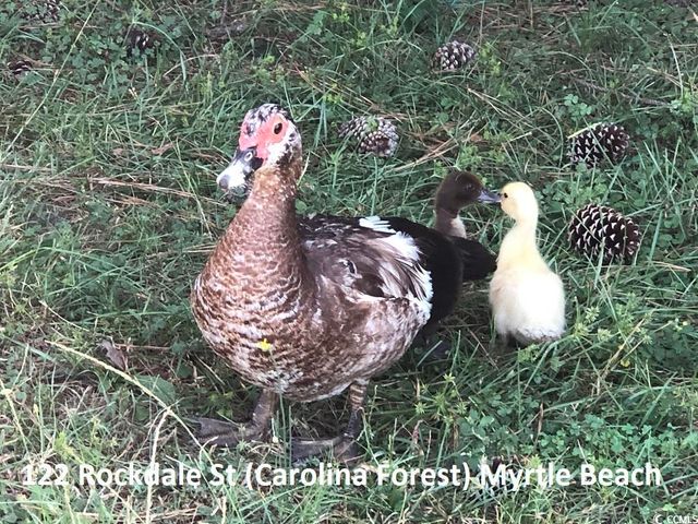 122 Rockdale St., Myrtle Beach, SC 29579