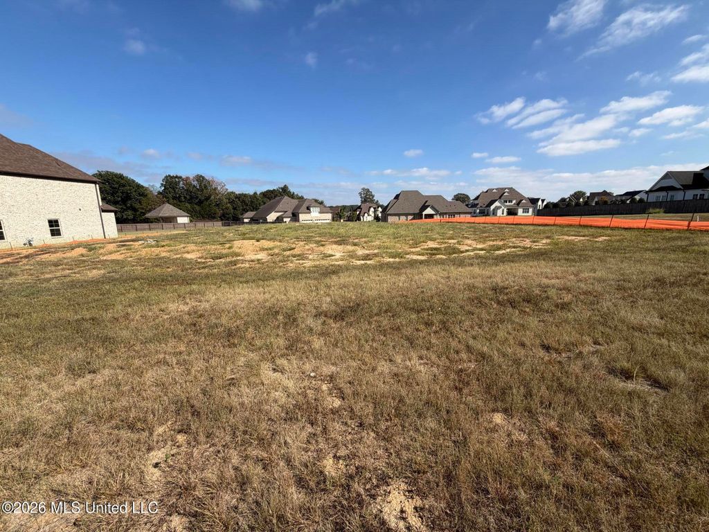 8167 Waterfall Way, Olive Branch, MS 38654 — photo 4