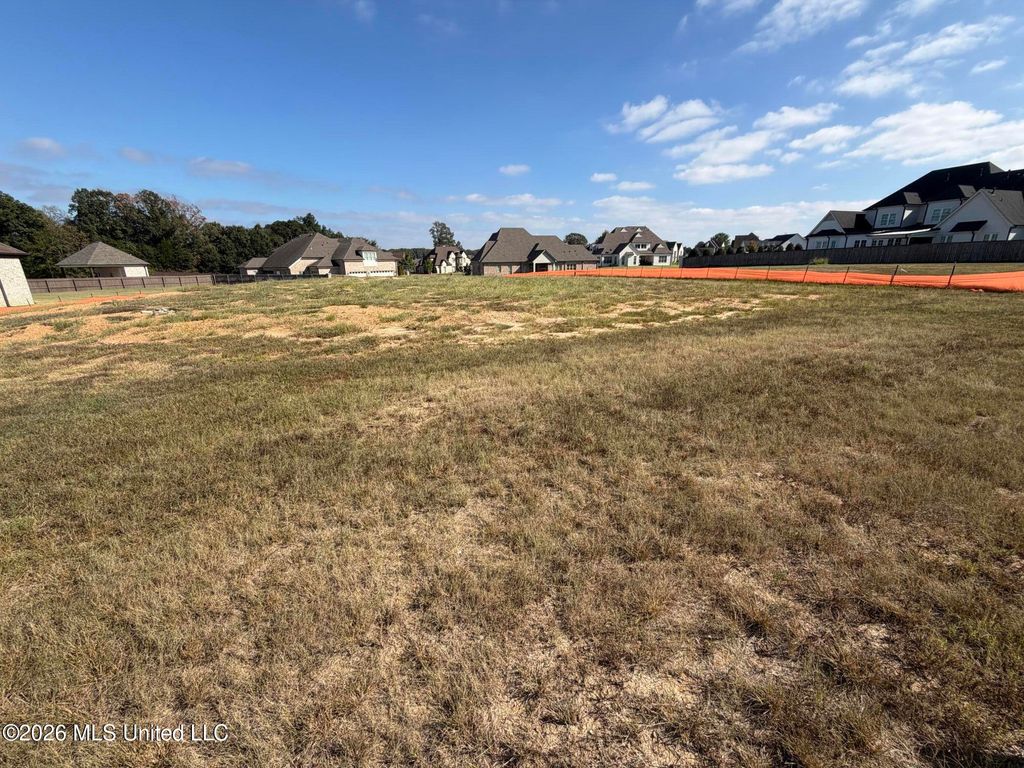 8167 Waterfall Way, Olive Branch, MS 38654 — photo 5