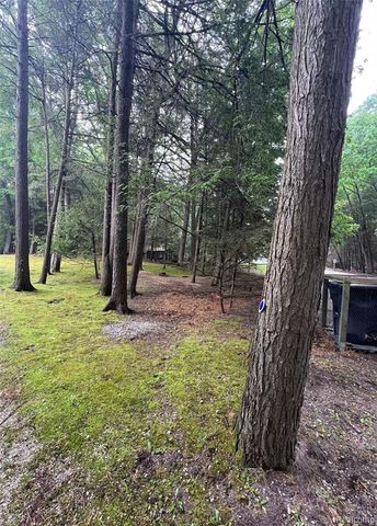 9058 W Chippewa Trail, Shelby, MI 49455