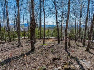 96 Split Rock Trail 5, Arden, NC 28704