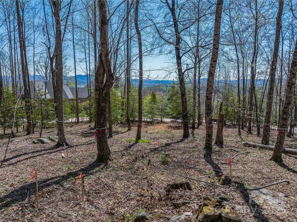 96 Split Rock Trail 5, Arden, NC 28704