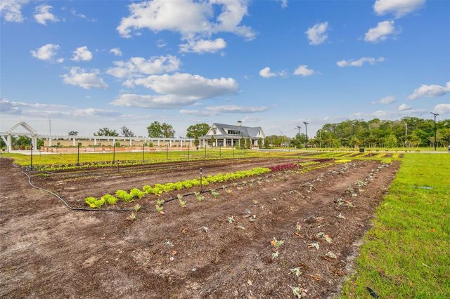 11032 CRESCENT DEER DRIVE, Land O Lakes, FL 34638