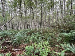 4 XX Scenic Drive, Poulsbo, WA 98370