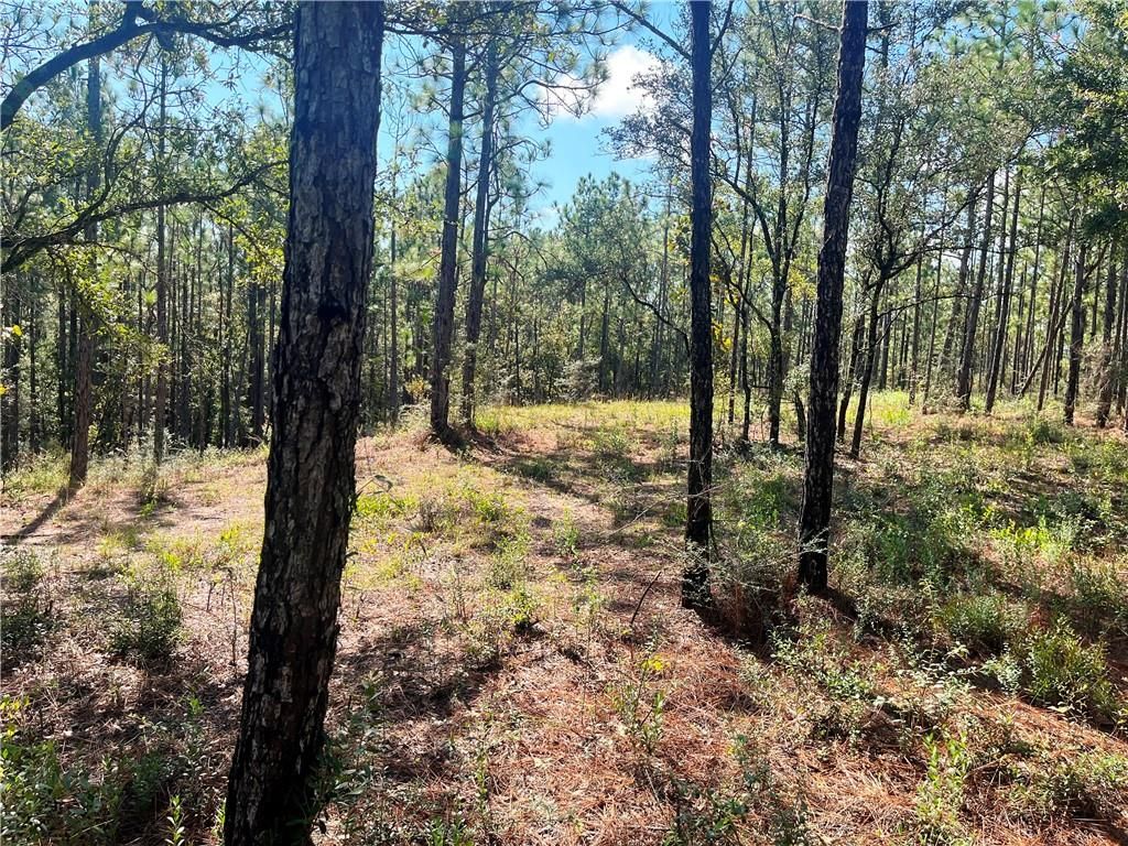 0 State Highway 225, Bay Minette, AL 36507 — photo 2