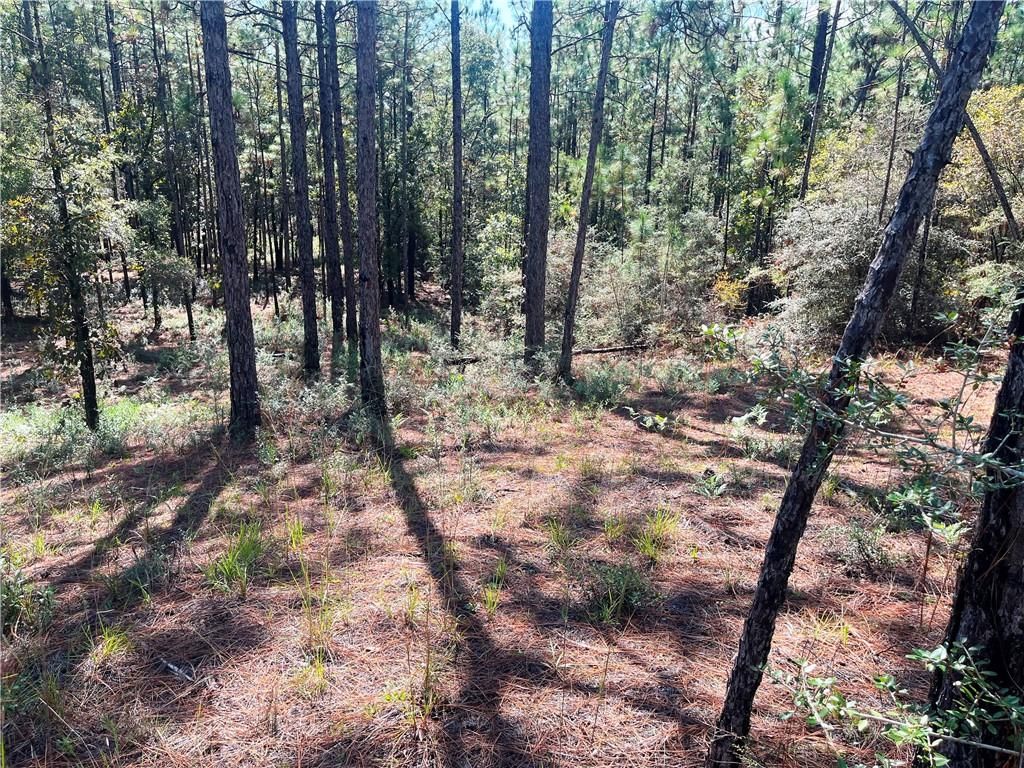 0 State Highway 225, Bay Minette, AL 36507 — photo 5