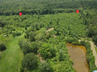 1154 GRIFFIN ROAD, Chelsea, AL 35043