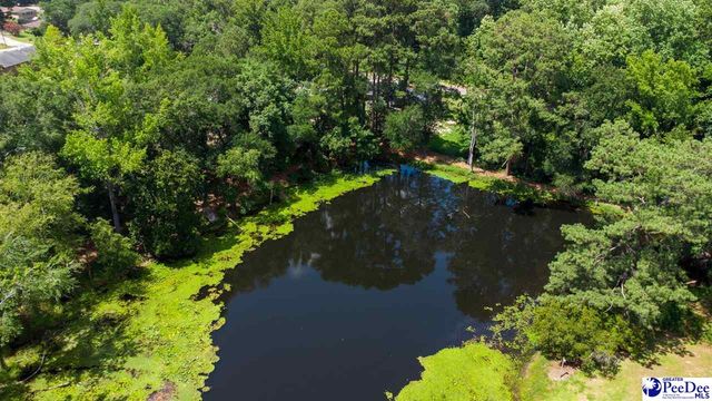 109 Grace Street, Darlington, SC 29532